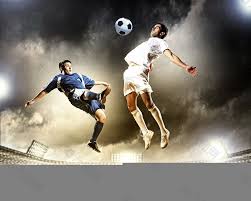 职业能力无 职业能力无