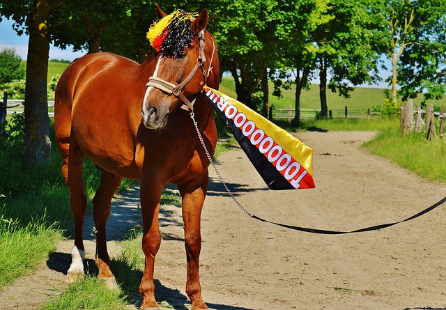 对本国人民 对本国人民