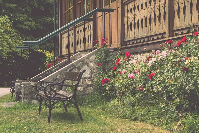 在这片充满 在这片充满