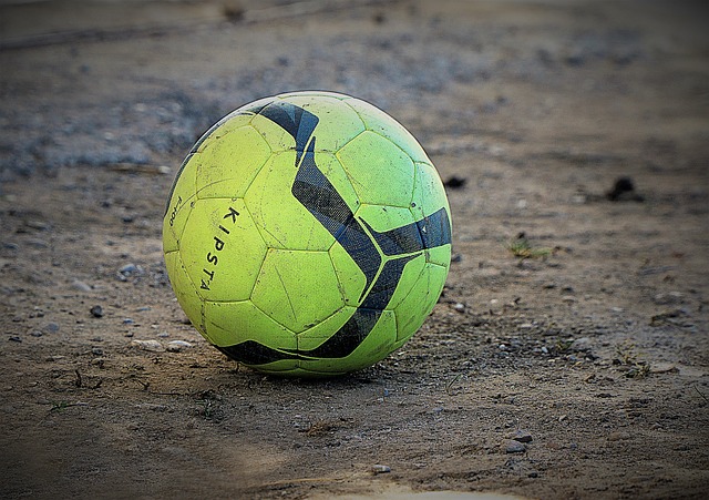 人与文化的 人与文化的