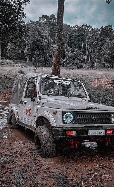 生活的特质 生活的特质