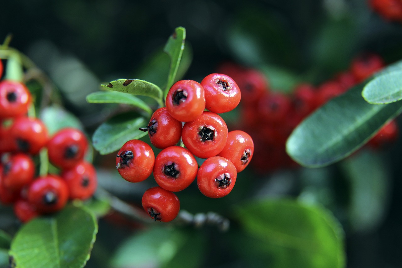 这两笔引援 这两笔引援