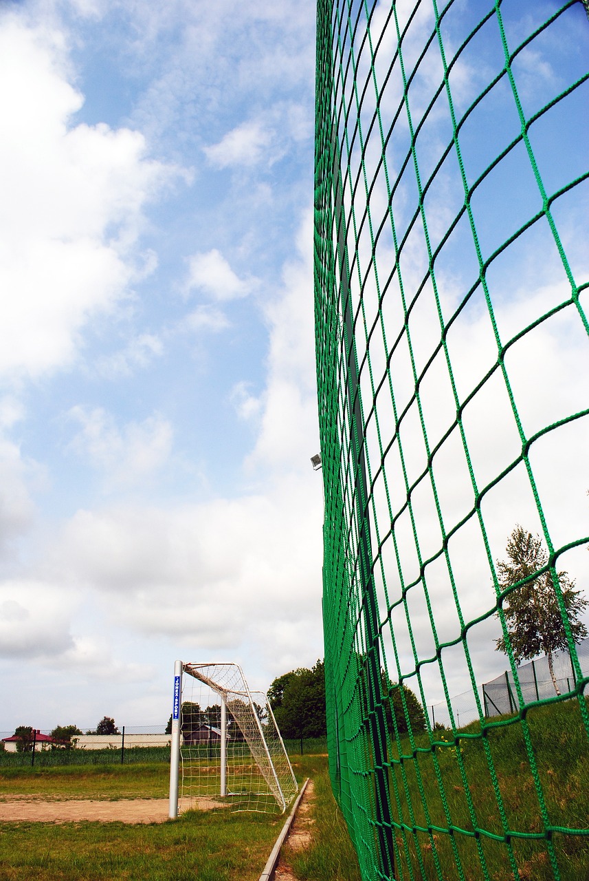 一個令球迷 一個令球迷