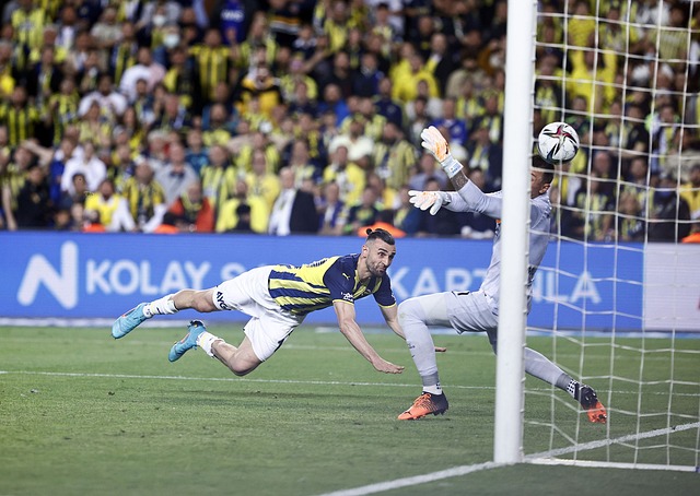 的重要例证 的重要例证