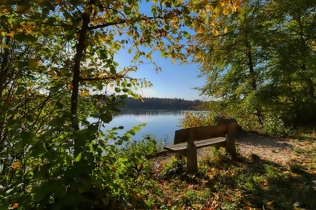 在结构性问 在结构性问